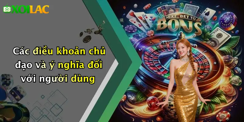 Điều Khoản Điều Kiện 2 Các điều khoản chủ đạo và ý nghĩa đối với người dùng