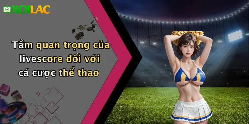 Tầm quan trọng của livescore đối với cá cược thể thao