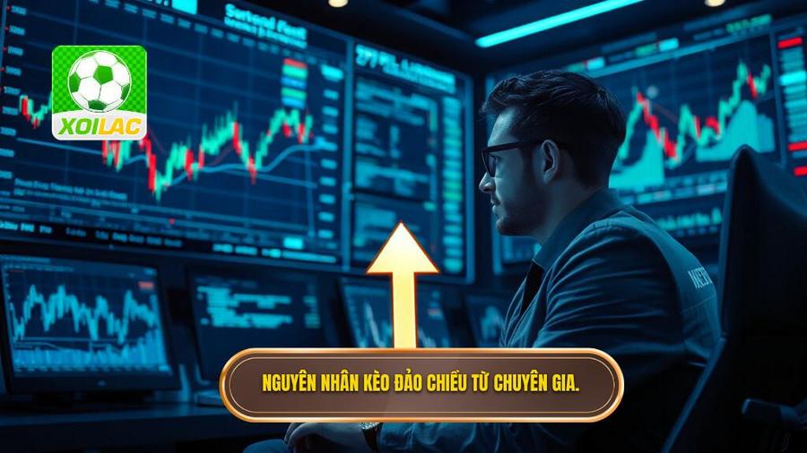2. Nguyên nhân kèo đảo chiều từ chuyên gia.