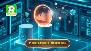 3. Lý do nên chọn kèo thắng hòa thua