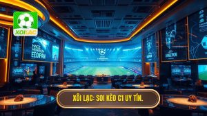 Hướng dẫn soi kèo Cúp C1 tại Cà Khịa: Bí kíp làm chủ đấu trường châu Âu