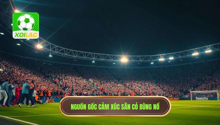 Giải mã nguồn gốc của những cảm xúc sân cỏ bùng nổ