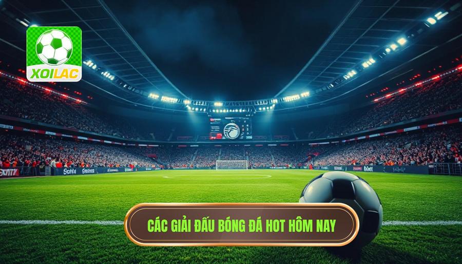 Live bóng đá hôm nay cực nóng - Xem trực tiếp HD tại XÔI LẠC 3 Những giải đấu tâm điểm không thể bỏ lỡ khi xem live bóng đá hôm nay cực nóng