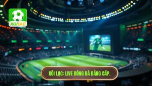 Live bóng đá hôm nay cực nóng - Xem trực tiếp HD tại XÔI LẠC