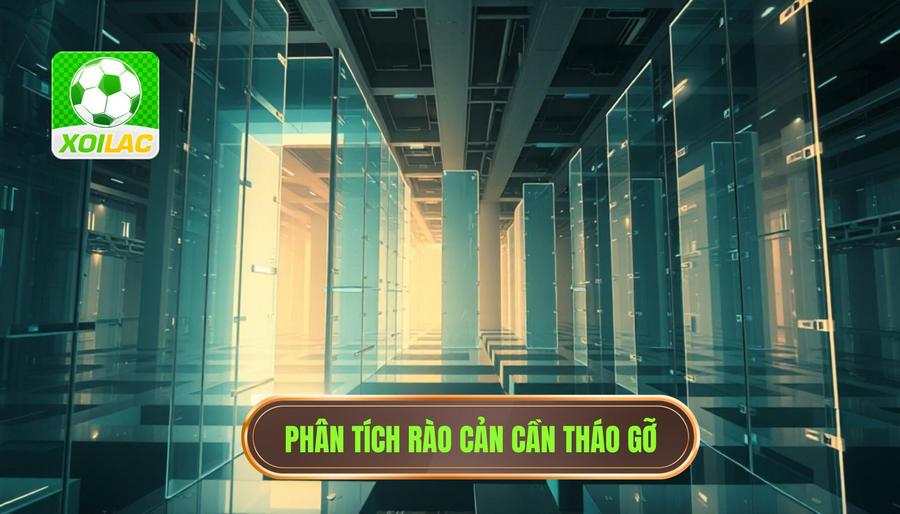 Bóng đá Việt Nam hôm nay: Chuyển mình giữa những thách thức và vận hội mới 4 Phân tích chiều sâu: Những rào cản cần tháo gỡ