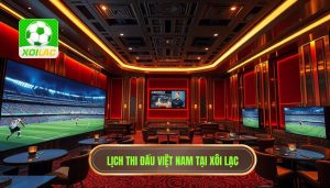 lịch thi đấu đội tuyển việt nam